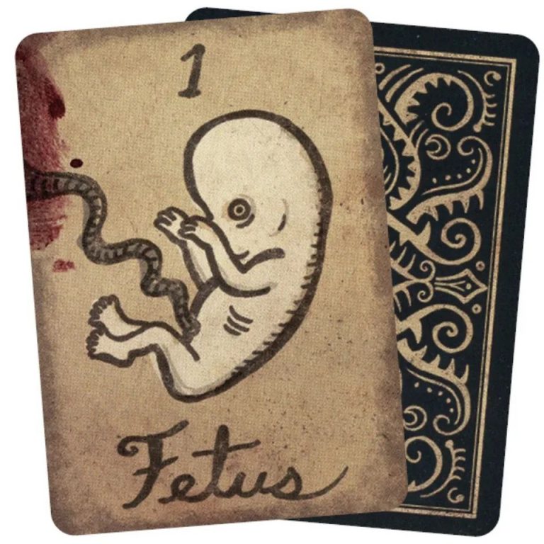 IMG_20240304_025150_529